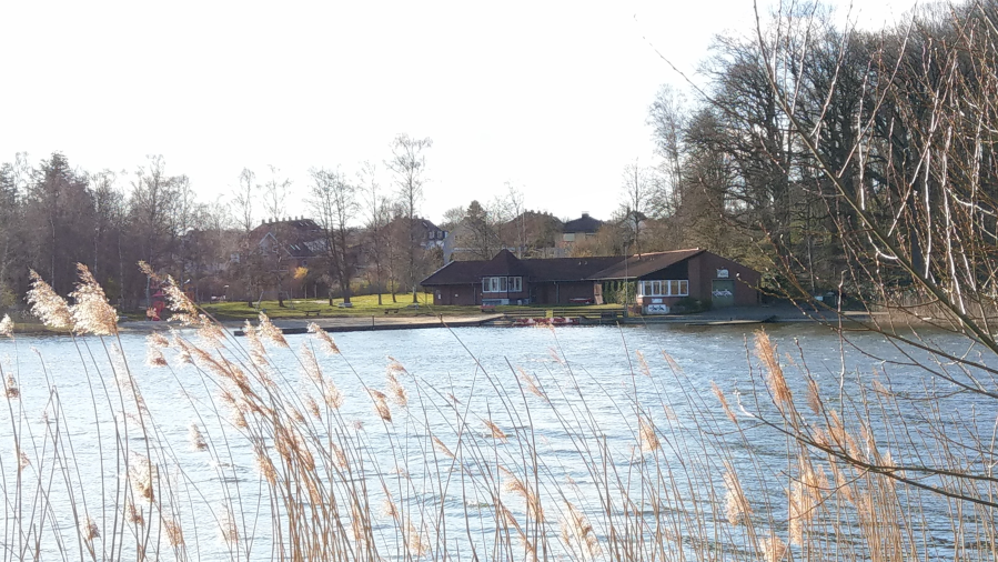 Frühling (c) RRG Frühling